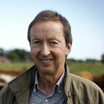 在线DDOS攻击平台